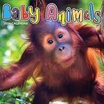 TF PUBLISHING 2024 Baby Animals Wal