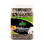 Nelson Plant Food Nelson Hibiscus and Flowering Tropicals in Ground Container Indoor Outdoor Granular NutriStar 10-4-12 (2 LB)