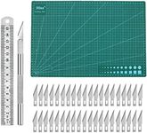 ABMRO 43 PCS Precision Carving Craf