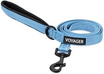 Voyager Reflective Dog Leash with Neoprene Handle, 5ft Long, Supports Small, Medium, and Large Breed Puppies, Cute and Heavy Duty for Walking, Running, and Training - Baby Blue (Leash), L