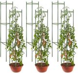 flowlamp 6 Packs Tomato Cages Supports, Tomato Plant Support Deformable Assembled Tomato Stakes, Up to 48Inch Multi-Functional Tomato Cage for Garden Plant Support Stakes