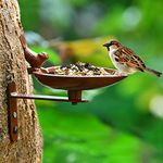 Sharpex Sturdy Steel Plant Hanger Bird Bath or Feeder Rust Brown, Cast Iron Wall Mount Bird Feeder Great for Attracting Birds (Brown, Pack of 2)