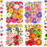 101Pcs Pressed Dried Flowers for Resin Molds, Real Natural Bulk Dry Floral Leave for DIY Art Crafts, Epoxy Jewelry, Candle, Soap Making, Nails Decors