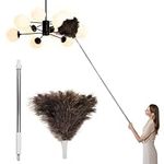 DOVORSY Ostrich Feather Duster Pole