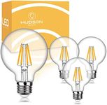 Hudson Dimmable G25 LED Edison Ligh