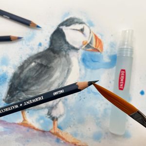 Derwent Watercolour Pencils Set – 24 Vibrant Artist Colors