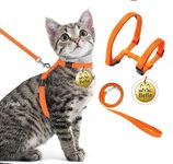 Kraftidy cat Harness with Leash and Name tag id Customized for Kitten Small Medium Big Adult Cats pet Adjustable Body Harness with Leash Belt Combo (with Personalized Cat Name) (Orange)