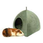 Guinea Pig House,Guinea Pig Bed,Guinea Pig Bed Tent,Pet Bed,Hamster House,House Warming,Small Bed,2-in-1 Comfortable Triangle Bed,for Hamster Pets Small Animals (Dark Green)