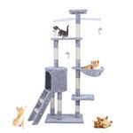 Pets First Cat Trees