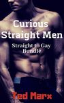 Curious Straight Men: Straight to Gay Bundle