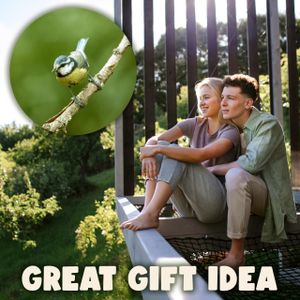 Davos Hanging Bird Feeder Station – Outdoor Garden Wild Bird Feeder