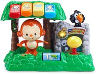 VTech Learn & Dance Interactive Zoo