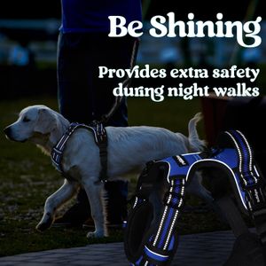rabbitgoo Medium Dog Harness – No Pull, Adjustable, Reflective, Blue