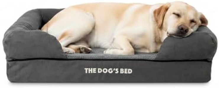 The Dog’s 