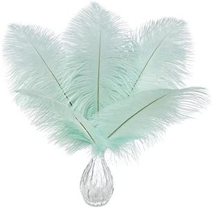 Ballinger Aqua Green Ostrich Feathers - 24pcs 10-12inch Craft Feathers Bulk for Wedding Party Centerpieces Mardi Gras Decorations and Home Decor