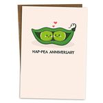 BYANIKA Happy Anniversary Card Wedding Anniversary Cards | From Wife Husband Girlfriend Boyfriend Partner | For Him Her Mum Dad Parents Daughter Son Brother Sister In Law | Cute Pun