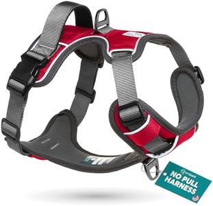 Embark No