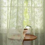 YJ YANJUN Green Sheer Curtains for Patio Doors Country Floral Embroidery Voile Net Curtains for Bedroom Lace Door Curtains for Living Room 55 x 90 Inch(Width x Length), 2 Panels