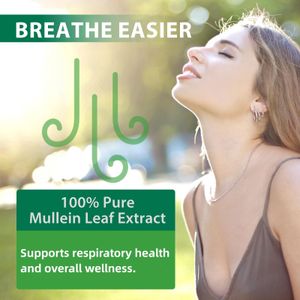 Mullein Leaf Extract Drops – Herbal Supplement, Alcohol-Free