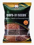 Perennial Grass Seeds