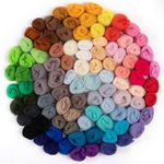 Biggun 96pcs 10.4 oz Needle Felting Wool- 48 Colorful Nature Fibre Wool Yarn Roving Needle Felting Hand Spinning for Wool Felting Yarn Supplies DIY Craft Materials, 3g/Pack