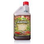 MULTI-MITE Organic Liquid Seaweed Fertiliser 1 Litre Plant Feed Concentrate Biostimulant for Gardens Lawns Vegetables Trees Roses Shrubs Herbs Fruit and House Plants Natural Liquid Seaweed