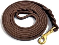 Guiding Star Leather Dog Leash for 
