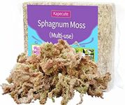 Kapecute 5oz Sphagnum Moss Perfect 