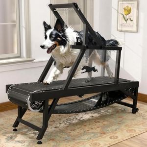 Dog Treadm