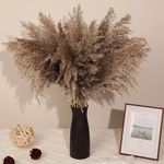 Axmon Natural Dried Pampas Grass 18"/1.5 Feet Tall Dried Pampas Grass Fluffy Stems Plants Floor Vase Filler for Home,Office,Bedroom,Table Corner Decoration – Pack of 5