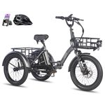 Fafrees F20 Mate E Bike Tricycle, 20 * 3.0 Inch Folding Electric Tricycle for Adults, 48V/18.2Ah Removable Battery, Rear Rack, Electric Cargo Tricycle for Senior, 25KM/H, Range 110KM (Grey)