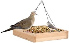 Wild Wings WWCF23 Cedar Tray Bird F