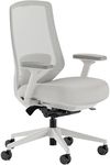 Branch Ergonomic Chair Pro - Mesh O