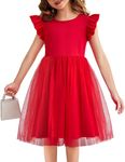 Flypigs Toddler Girls Tutu Dress Fluffy Casual Tulle Dresses Party Sundress for Kids 2-6Y Red