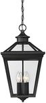 Savoy House Ellijay 12" Steel Hanging Lantern in Black 5-145-BK