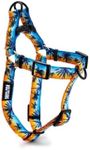 Wolfgang Premium No Pull Dog Harness, XL Dog Harness, Durable & Easy to Clean Nylon with Quick Clip Buckles, for Training & Daily Use, Made in USA, SunsetPalms Print, (1 Inch x 26-38 Inch)