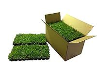 Zoysia Plugs - 100 Full Zoysia Gras