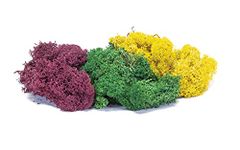 Hornby R7197 Lichen - Large Autumn Mix for Model Railway OO Gauge, Model Train Accessories for Adding Scenery, Dioramas, Woodland, Buildings and More, Model Making Kits - 1:76 Scale Model Accessory