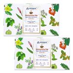 Ayuska Immunity Sip (Buy 1 Get 1 Free)│Instant Relief from Cold, Cough & Sore Throat│Sugar Free Kadha (Pack of 2)│100% Ayurvedic Natural Immunity Booster│Safe for Diabetics│60 Sachets │No Side Effects