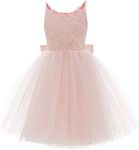 PLwedding Flower Girls Lace Tulle Ball Gowns First Communion Dresses, Z Pink, 2-3 Years