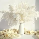 20PCS White Pampas Grass Decor, Natural Dried Pampas Grass Bulk Short Pompas Grass Vase Fillers, Dried Flowers Feathers for Centerpieces Perfect for Wedding Baby Shower Party Farmhouse Boho Home Decor