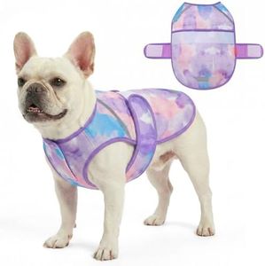 KYEESE Dog