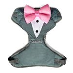 That Dog In Tuxedo Body Mesh Harness - Dog Tuxedo Harness (Grey, Size XL)