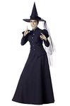 InCharacter CF1022L Witch Character Adult Size Costume, Solid, Multicolored, Large