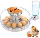 M12 - Egg Incubator with Automatic 