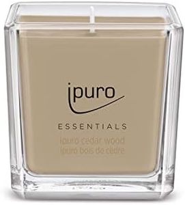 ipuro - Bois de cèdre décoratif - Bougies parfumées minimalistes et épurées dans un verre - Intense avec des notes boisées et épicées - Bougie élégante de 125 g