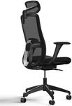 Desktronic Adjustable Ergonomic Office Chair | Desk Chair with headrest, armrests, lumbar support, height adjustments - Designed for European body - Breathable Mesh - Spacious seating(Black)