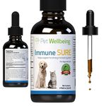 Pet Wellbeing Immune Sure for Cats - Vet-Formulated - Immune System Support & Protection - Natural Herbal Supplement 2 oz (59 ml)