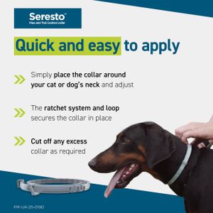 Seresto Cat Flea & Tick Collar – Long-Lasting Protection