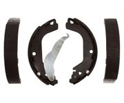 Raybestos 1041PG Professional Grade Brake Shoe Set